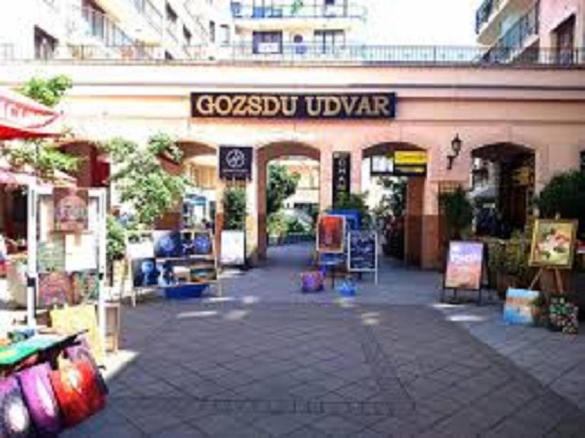 Splendid Private Flat Apartment Budapest Luaran gambar